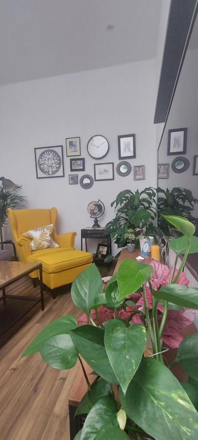 Descalzos Free Parking Apartment *